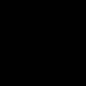 Meet your Posher, Britney